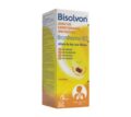 BISOLVON ADULTO 120ML