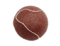 Esponja Natural Konjac