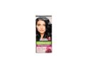 Garnier Cor Intensa 2.1 Negro Azulado