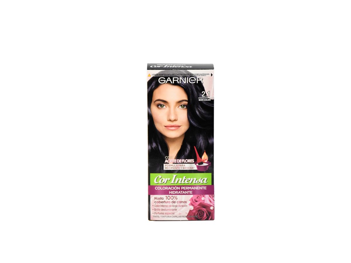 Garnier Cor Intensa 2.1 Negro Azulado